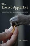 Kim (Professor Sterelny - The Evolved Apprentice