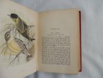 Wallace R L - British Cage Birds : containing full directions for successfully breeding, rearing, and managing the various British birds that can be kept in confinement : illustrated with coloured plates and numberous finely cut Wood Engravings.
