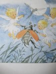 Bohatta, Ida - Elfchen Bohatta, Ida - Elfchen