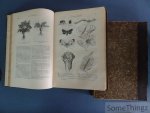 A.-E. Brehm et Paul Constantin. - Merveilles de la Nature. Les plantes. Le monde des plantes. Vol. 1 et 2.