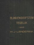 Lenderink, H.J. - Blind en doofstom tegelijk. De ontwikkeling der doofstomme blinden in en buiten Europa, benevens eene beschrijving van het doofstommen wezen in Nederland