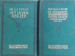 Escher B.G. - De gedaanteveranderingen onzer aarde