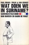 Hansen, Han & Gabri de Wagt (ed.) - Wat doen we in Suriname?