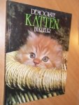 Haak, Ruud - De mooiste katten in kleur