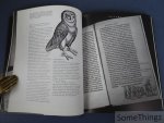Vanautgaerden, Alexandre. - Erasme ou l'éloge de la curiosité à la Renaissance. Cabinets de curiosités et jardins de simples.