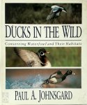 Paul A. Johnsgard - Ducks in the Wild