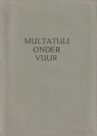 Straten, Hans van & Jan Praas (samenst.) - Multatuli onder vuur: Schimpscheuten & schampschoten op Eduard Douwes Dekker Straten, Hans van & Jan Praas (samenst.) - Multatuli onder vuur: Schimpscheuten & schampschoten op Eduard Douwes Dekker