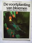 Meeuse Bastiaan en Morris, Sean - Voortplanting van bloemen / druk 1