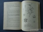 van den Abeele, Marcel en Vandenput, René. - De voornaamste cultures van Belgisch-Congo.