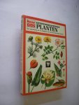 Caron, Michel & Jouve, Henry Clos / Crozat, Francois, illustr. / Hubert B en A. bew. - Geneeskrachtige planten. Een beschrijving en  de afbeelding van 240  geneeskrachtige planten.
