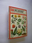 Caron, Michel & Jouve, Henry Clos / Crozat, Francois, illustr. / Hubert B en A. bew. - Geneeskrachtige planten. Een beschrijving en de afbeelding van 240 geneeskrachtige planten. Caron, Michel & Jouve, Henry Clos / Crozat, Francois, illustr. / Hubert B en A. bew. - Geneeskrachtige planten. Een beschrijving en de afbeelding van 240 geneeskrachtige planten.