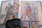 (Collectif) - Anatomie humaine. Aspects, proportions, rapports. 8 transparents en colours. Dessins de S. Dupret.