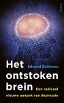 Edward Bullmore 169505 - Het ontstoken brein Een radicaal nieuwe aanpak van depressie
