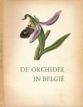 Balis, Jan & André Lawalrée - De Orchidee in België