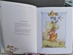 Barker, Cicely Mary - Het complete boek van de Bloemenkinderen