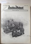 Allgemeiner Deutscher Jagdschutzverein (Hrsg.): - Deutsches Weidwerk : 34. Jahrgang : 1929 : Heft 1-24 : komplett : in einem Band :