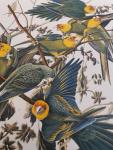 Audubon, John James / Dock jr., George (tekst) - The Audubon Folio [30 great bird paintings]