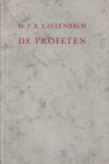 Callenbach, J.R. - De profeten