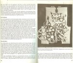 Murray Aileen  Vertaling Ir Louise Corbeau - Ontwerpen met weefsels en draden