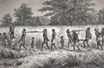 David and Charles Livingstone - Narrative of an expedition to the Zambesi and its tributaries and of the discovery of the lakes Shirwa and Nyassa 1858-1864