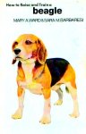  - BEAGLE, How to Raise and Train a - M.A. Ward