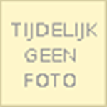 RÖDER-THIEDE, Maike & BRUIN, Stephe - Chinchilla's