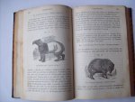 Winkler, T.C. - Natuurlijke geschiedenis van het dierenrijk: zoogdieren en vogels. 2de uitgaaf. 510 pp.