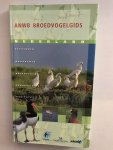 Onbekend - Anwb Broedvogelgids Nederland