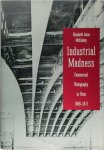 Elizabeth Anne McCauley - Industrial Madness