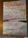 Taapken, Jaap; Hoorn D.A.C. van den - Trekvogels. Hun mysterieuze en ongewisse reis over de continenten