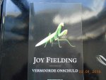 Fielding, Joy - Vermoorde onschuld