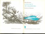 MacInnes, Helen .. Vertaald door : Frans van Oldenburg Ermke : Bandontwerp : Charles Burki - Contact in Salzburg .. De kist in de Finstersee