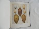 Kirkman F.B. - Jourdain F.C.R.  /  Frederick Bernulf Kirkman; Francis Charles Robert Jourdain - British birds -  200 plates in Full Colour