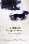 Master Teacher - 12 Steps to Enlightenment