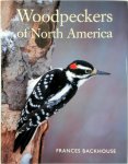 Frances Backhouse - Woodpeckers of North America