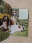 Verhoef-Verhallen, Esther J.J. - Het Honden dagboek