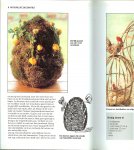 Dol, Olga .. Fotografie Alexander van Berge   met Illustraties van Rolf Kok - Natuurlijke decoraties + stap-voor-stap instructies .. Uit eigen  Tuin