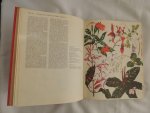 Barbara Everard - Brian D Morley; B. Everard - WILD FLOWERS of the World