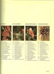 Honders, J .. Zuidermeer met medewerking van A. Wapenaar Hoogwoud en N. Kuipers - Moessonbos en regenwoud,Dieren in het wild,vleerhonden, pauwen, ringstaartmaki, vampiers, boa's, kolibries, paradijsvogels, vogelspinnen
