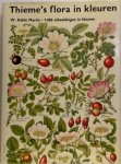 W.Keble Martin , M.A. Ijsseling 222271 - Thieme's flora in kleuren