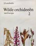 Landwehr - 2 Wilde orchideeen van europa