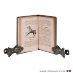 Creytz, A. von. - Die Dressur des Hundes. Anleitung zur Abrichtung der nicht zur Jagd verwendeten Hunde. Haus- und Begleithunde, Kunsthunde, Kriegs- und Sanitätshunde, Polizeihunde, Hirtenhunde u. a. m. Vierte, verbesserte Auflage mit 76 Abbildungen von Alfred ...