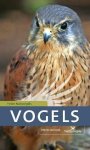 Volker Dierschke - Kosmos Natuurgids - Vogels