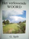 Spilt, G. - Het verlossende woord. Dagboek bij de Bijbel