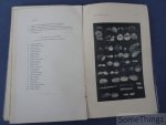Wery, Joséphine. - Sur le littoral belge : la plage, les dunes, les alluvions, les polders, les anciennes rivières. (Deuxième édition revue et complétée avec figures dans le texte et 24 planches en phototypie.) Wery, Joséphine. - Sur le littoral belge : la plage, les dunes, les alluvions, les polders, les anciennes rivières. (Deuxième édition revue et complétée avec figures dans le texte et 24 planches en phototypie.)