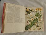 Barbara Everard - Brian D Morley; B. Everard - WILD FLOWERS of the World