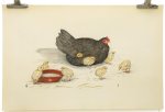 Berend Sluyterman - Chicken with 8 chicks Big size Litho