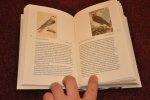 Freriks, Kester - Vogels kijken / alle driehonderd Nederlandse vogelsoorten : met een keuze van vogelprenten uit de Artis Bibliotheek door Jip Binsbergen