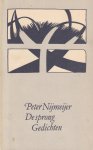 Nijmeijer, Peter - De sprong