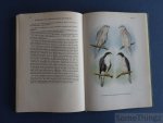 Kleinschmidt, Otto. - Raubvögel und Eulen der Heimat.